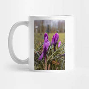 Beautiful Purple flowers on a rainy autumn day Mug